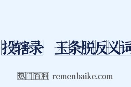 投辖录·玉条脱反义词是什么意思的图片